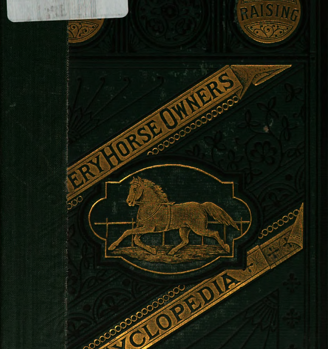 馬術讀本 Browse Equine Books | Horse Education